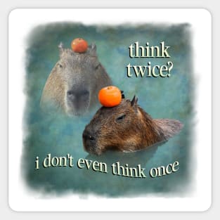 Capybara Meme Sticker